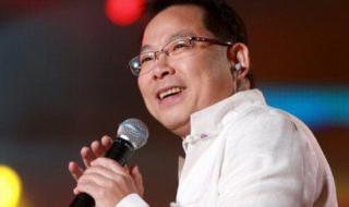 我的中国心原唱 我的中国心原唱