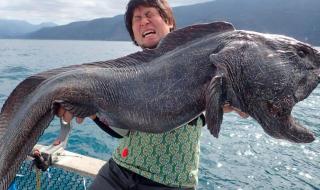 核辐射变异人真实样子 核辐射变异人真实样子